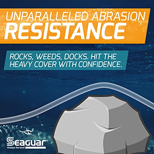 Seaguar Blue Label Fishing Leader Line for Saltwater, 100% Fluorocarbon, Clear, Multiple Sizes - size: 25lbs/100yds