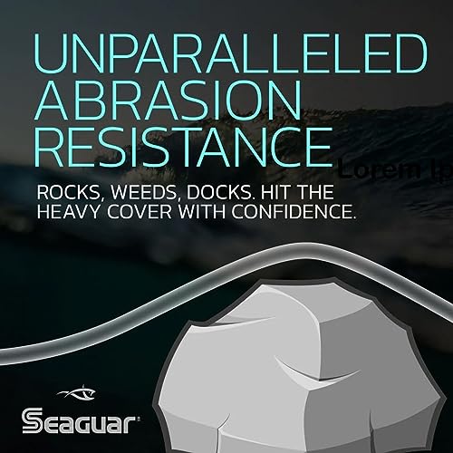Seaguar Blue Label Fishing Leader Line for Saltwater, 100% Fluorocarbon, Clear, Multiple Sizes - size: 8lbs/25yds