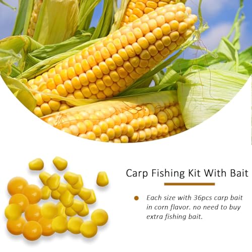 Dovesun Carp Fishing Hair Rigs Carp Fishing Equipment with Baits Hooks Accessories 41PCS/151PCS - color: Size#8-41PCS