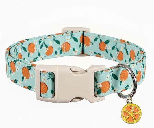 Dog Collar, Spring Summer Dog Collar with Orange Print and Charm, Cute Spring Summer Fruit Collar with Soft & Breathable Fabric, Adjustable Pet Collar for Medium Dogs