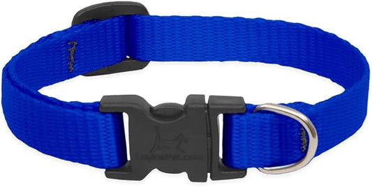 LupinePet Basics 1/2" Blue 6-9" Adjustable Collar for Extra Small Dogs
