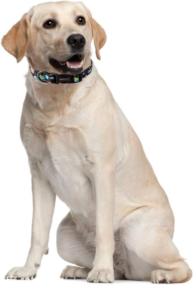 QQPETS Adjustable Soft Dog Collar: Print Flower Pink Multicolor Cute Patterns for XS Small Medium Large Pet Girl Boy Puppy Walking Running Training (L, Space)