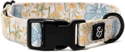 Lucy & Co. Sunshine and Daffodils Dog Collar, Adjustable Durable Dog Collar with Cute Print, Small