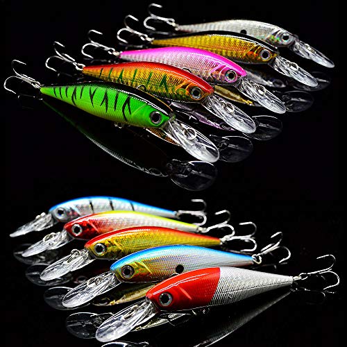 10 Pack Fishing Lures Hard Baits, Minnow Crankbait & Swimbait Lure Kit for Freshwater & Saltwater, Bass, Trout, Walleye, Redfish