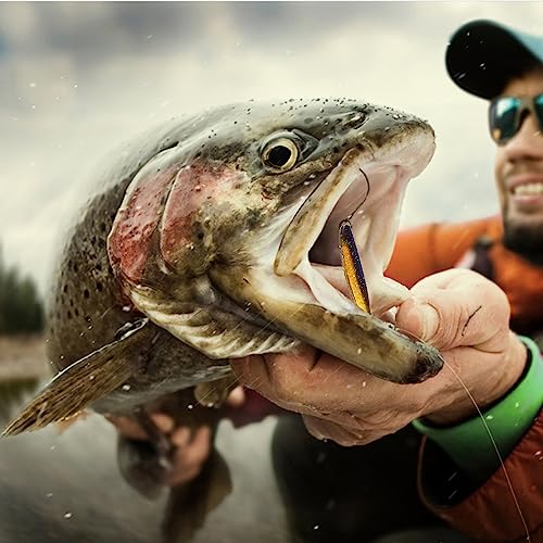 Paddle Tail Swimbaits,Soft Plastic Fishing Lures Swim Baits for Bass Fishing,30/50pcs with Box,Soft Plastic Swimbaits for Bass Trout Crappie Lures Kit for Saltwater Freshwater - color: A:1.97in/0.042oz-50pcs
