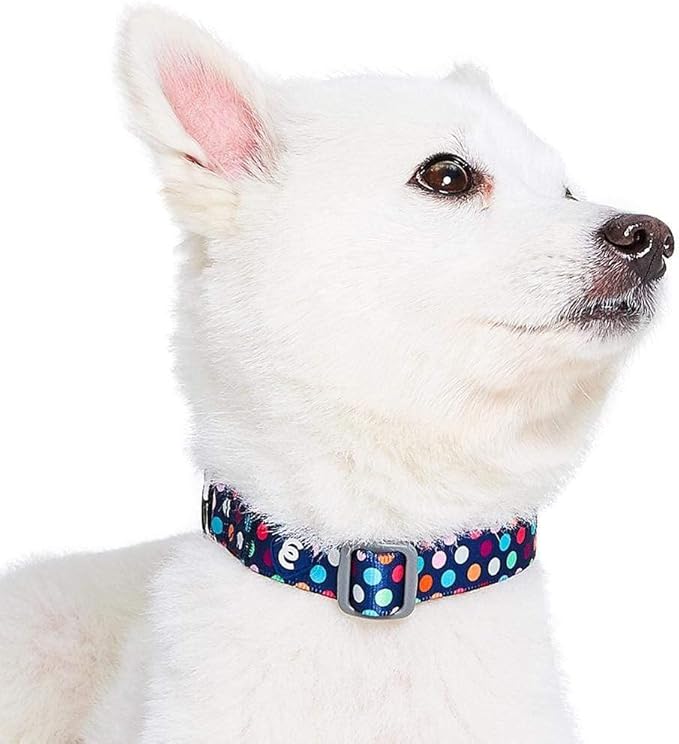 Blueberry Pet Essentials Rainbow Polka Dots Adjustable Dog Collar, Large, Neck 18"-26"