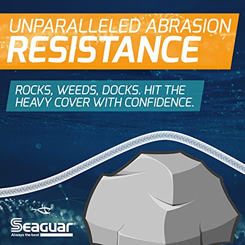Seaguar AbrazX Freshwater Abrasion Resistant Fluorocarbon Fishing Line for Docks, Rocks, Weeds, & Logs - Multiple Sizes - style: 10lbs/1000yds