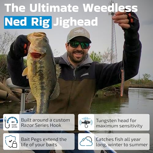 Harmony Fishing - Tungsten Offset Weedless Ned Rig Jigheads (5 Pack) - size: 1/8oz (5 Pack)
