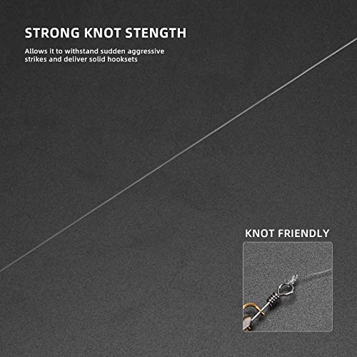 SF Monofilament Fishing Line Premium Spool X-Strong Mono Nylon Material Leader Line for Saltwater Freshwater 8/10/12/15/20/25/30/40/50/60/80/100LB - color: Clear, size: 10LB/0.012in/1500Yds