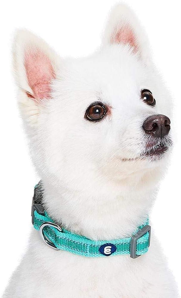 Blueberry Pet Essentials Matching Large Dog Collar | Adjustable Classic Solid Color Nylon Dog Collars for Large Dogs | Reflective Rouge Red Dog Collar for Large Dogs