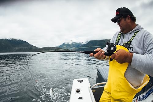 PENN Rival Level Wind Conventional Fishing Reel - size: 20 - Line Counter - Left Hand, style: New Model