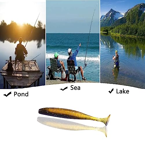 Paddle Tail Swimbaits,Soft Plastic Fishing Lures Swim Baits for Bass Fishing,30/50pcs with Box,Soft Plastic Swimbaits for Bass Trout Crappie Lures Kit for Saltwater Freshwater - color: A:1.97in/0.042oz-50pcs