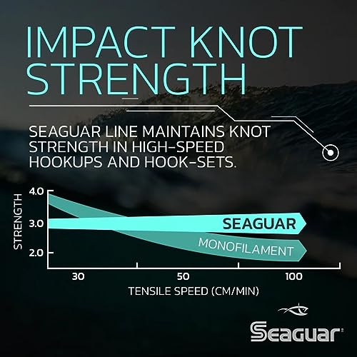 Seaguar Blue Label Fishing Leader Line for Saltwater, 100% Fluorocarbon, Clear, Multiple Sizes - size: 8lbs/25yds