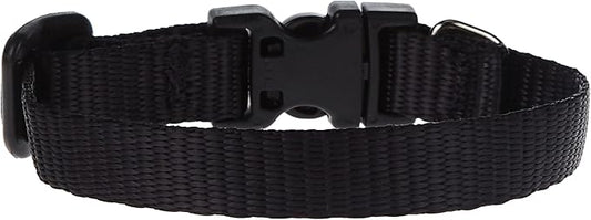 LupinePet Basics 1/2" Black 6-9" Adjustable Collar for Extra Small Dogs