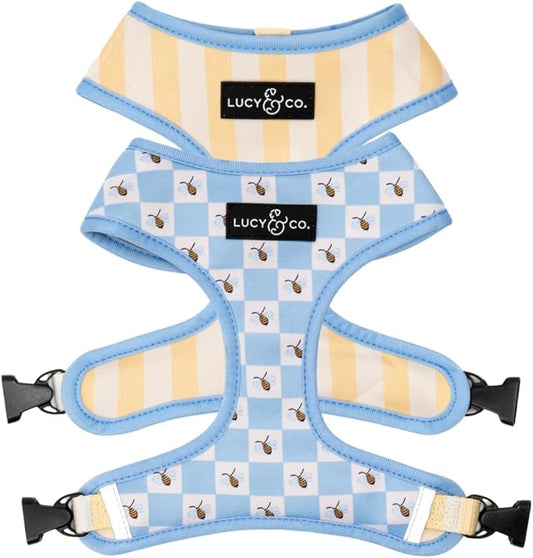 Lucy & Co. Bumbling Around Reversible Dog Harness, Adjustable Comfort Fit with Dual Leash Attachments, X-Large