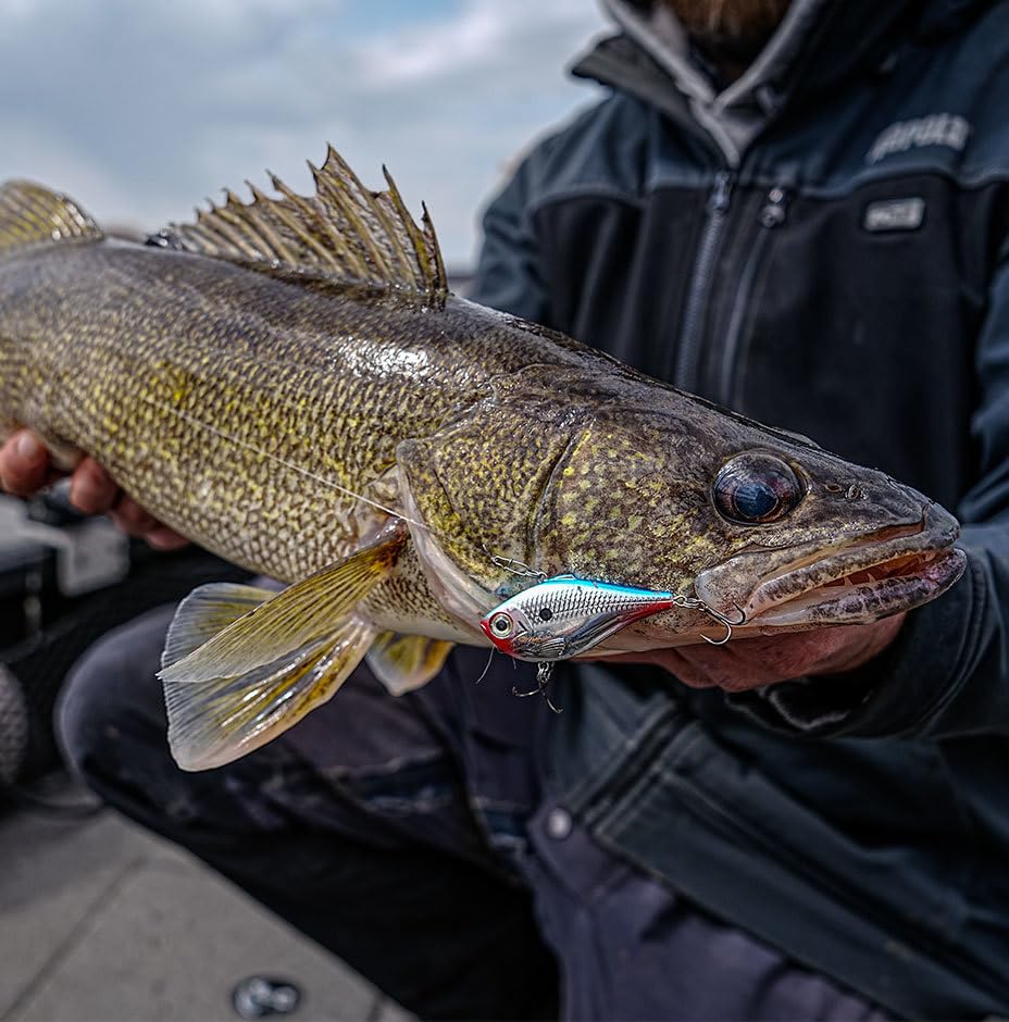 Rapala Rapala Rippin ' Rap - color: Gold Chrome, size: 2-1/2"