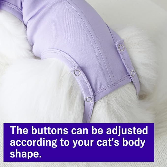 Cat Recovery Suit for Abdominal Wounds and Skin Diseases,Breathable Surgical Recovery Shirt After Surgery Wear Anti Licking Wounds,E-Collar Alternative for Female Cats Kitten(RSC01-blue-s)
