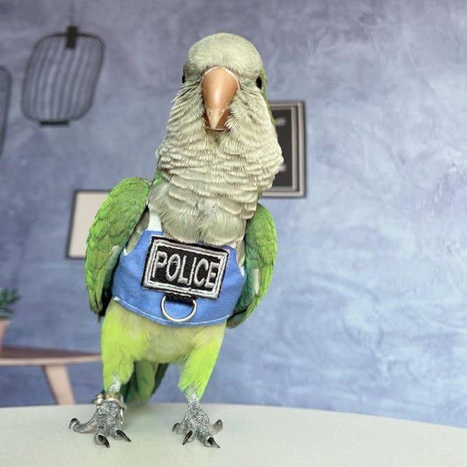 Bird Flight Harness Vest, Parrot Flight Suit with Leash, Bird Flying Clothes with Rope and Handle for Outdoor Activities (with Leash,Blue Quaker)