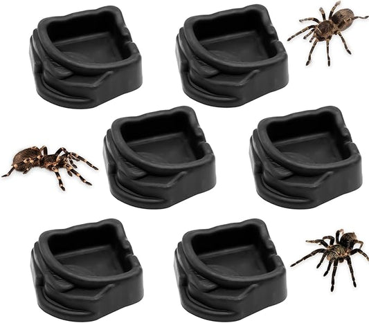 6 Pack Spider Micro Water Bowls, Mini Resin Dish for Tarantula, Spider, Millipede and Tiny Reptiles, Food/Water Dish for Enclosure Accessories(1.65" D, 0.59" H)