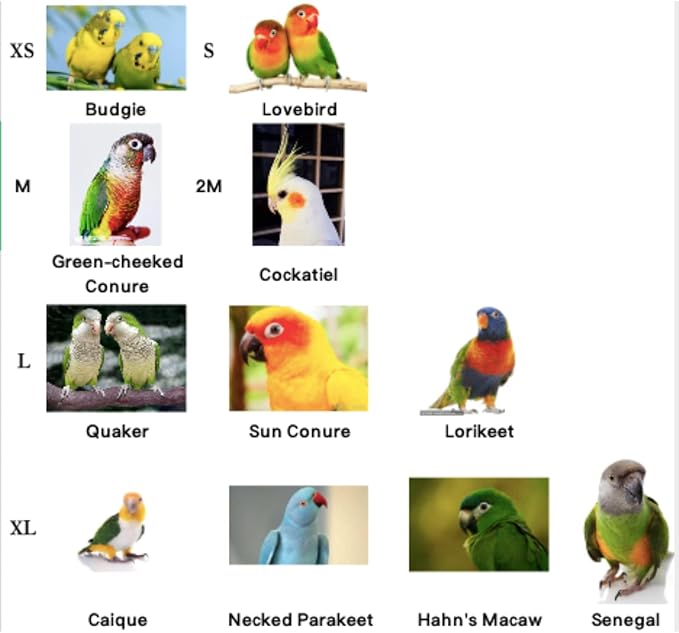 Bird Flight Harness Vest, Parrot Flight Suit with Leash for Parakeets Cockatiels Conures Budgies, Bird Flying Clothes with Rope and Handle for Outdoor Activities Training, Anti Bite (Medium)
