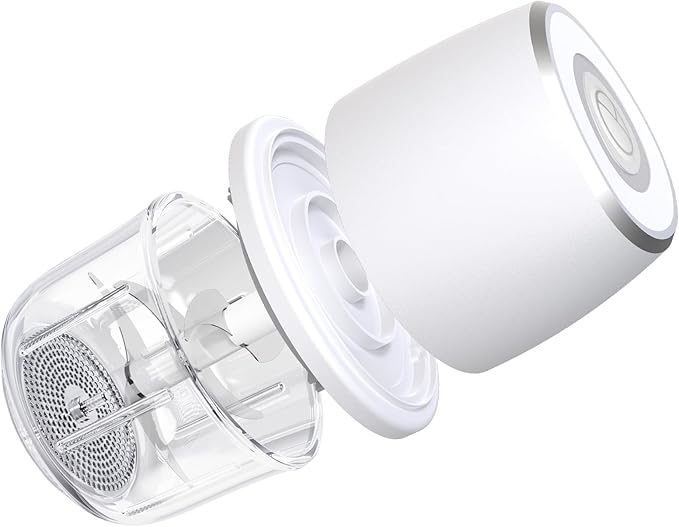 Electric Mini Garlic Chopper, Mini Food Chopper & 350ml Portable Cordless USB Rechargeable Garlic Chopper, Best Mini Chopper for Onion, Herb, Nut, Easy to Clean Glass Container （Witer)