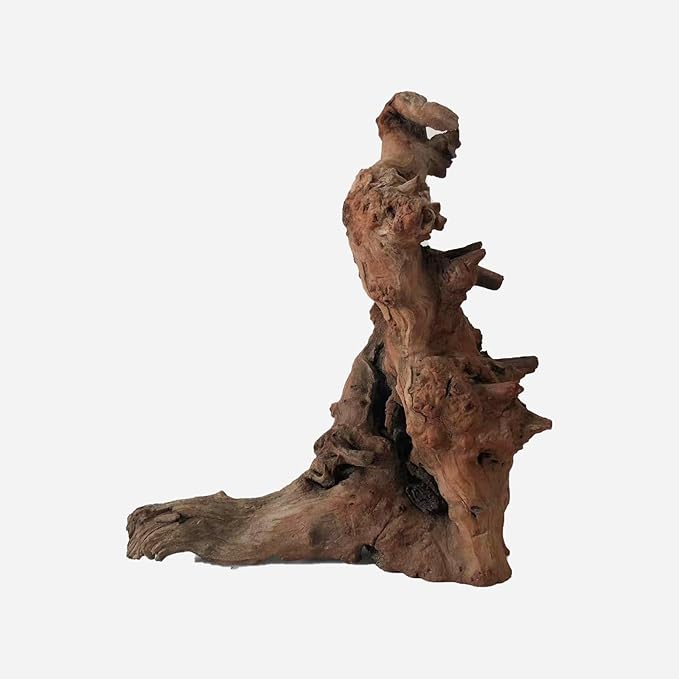 LYPHARD AQUARIUMS Natural Driftwood for Aquarium Decor, L12.2×W7.48×H13.78 Inches Large Drift Wood Decorations for Reptile Hide, Fish Tank, Optional Shapes
