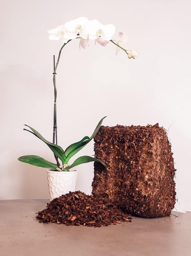 Coco Coir Husk Chips 2-Pack – 2.4 Cu. Ft. Compressed Coconut Coir Bricks, 10 lb. Natural Substrate for Indoor & Outdoor Use, Orchid Bark Alternative, Orchid Potting Mix, Indoor Plant Soil