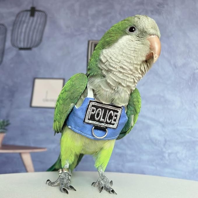 Bird Flight Harness Vest, Parrot Flight Suit with Leash, Bird Flying Clothes with Rope and Handle for Outdoor Activities (Without Leash,Lovebird)