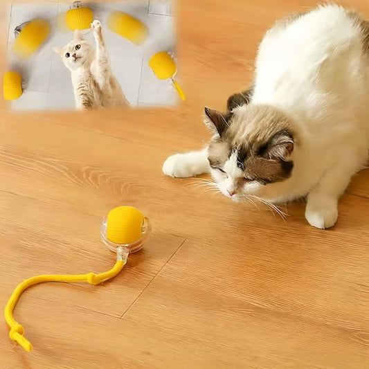 Interactive Cat Toys for Indoor Cats, Agility Move Cat Balls,Motion Activated Cat Balls, Cat Toys for Bored Indoor Cats (Yellow)