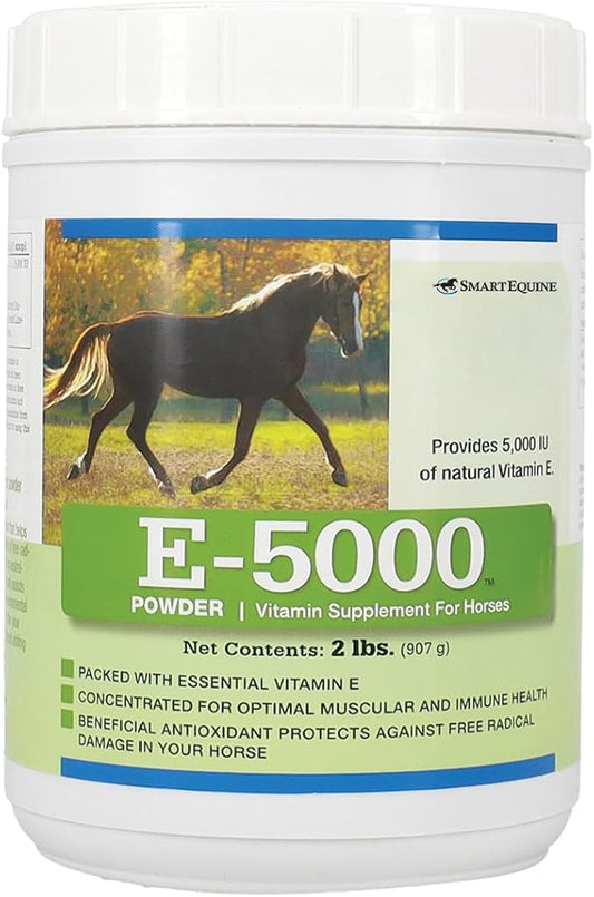 E5000 Powder | Vitamin E for Horses | Antioxidant Support with Horse Vitamin E Supplement | Concentrated for Optimal Muscle & Wellness Support | 2 lb