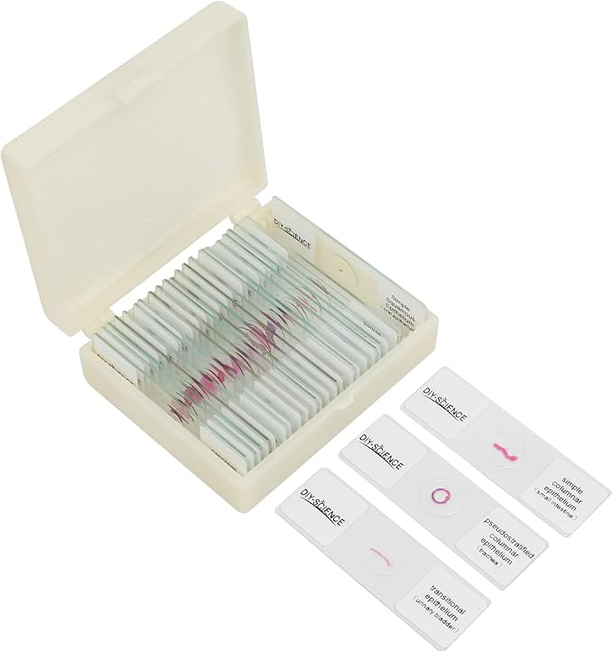 Mammal Anatomy Organ Tissue Specimens, 25 Similar to Human Tissue Prepared Microscope Slides Set for Students Hobbyists Beginners (Mammal Specimens)