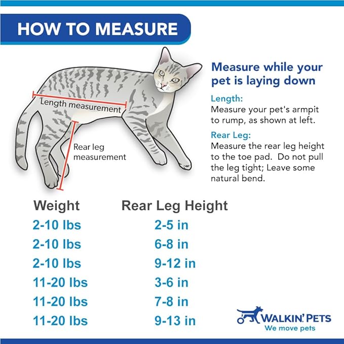 Walkin' Wheels Lightweight – for Small Cats 2 to 20 Pounds – Veterinarian Approved – Cat Wheelchair for Back Legs, for Cats 2-10 lbs, 9-12 inches Leg Height – Blue