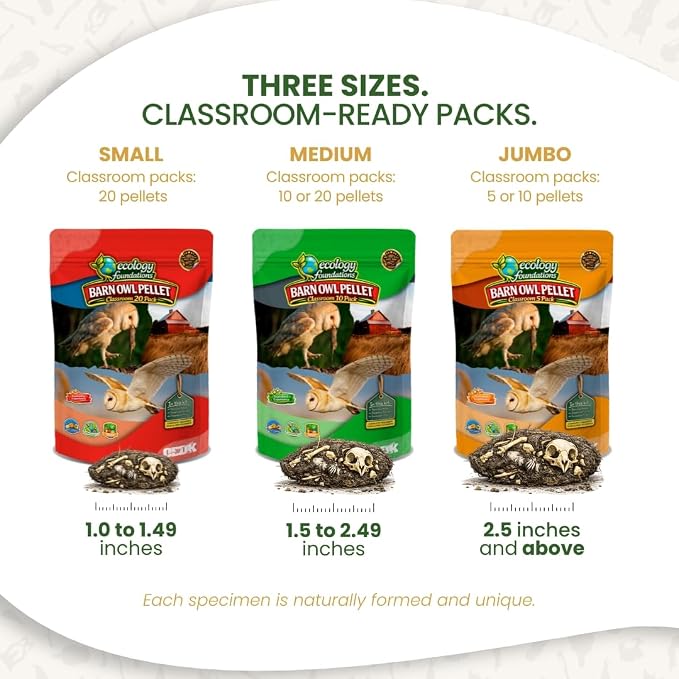 Barn Owl Pellets for Dissection for Classrooms, Medium 10-Pack Kit by OBDK | Forceps, picks and instructor guide included, life science and ecology, bone sorting chart, hands-on lab activity