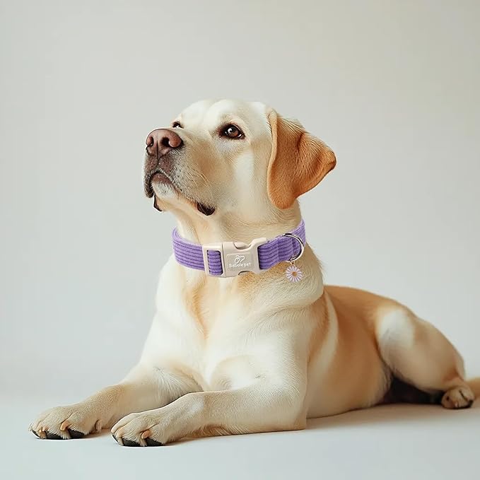 Cute Corduroy Dog Collar - Lavender Adjustable Dog Collars for Large Dogs 50-80lbs, Fade-Proof with Secure Snap & Little Charm, Christmas Birthday Gift, L