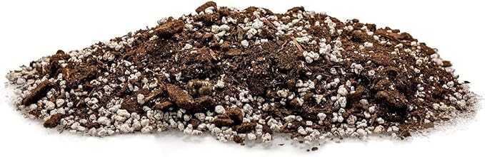 GARDENERA Palm Tree Potting Mix - The Ultimate Soil for Strong and Healthy Palms - Top Choice for Palm Tree Growers [3 Quart Bag]