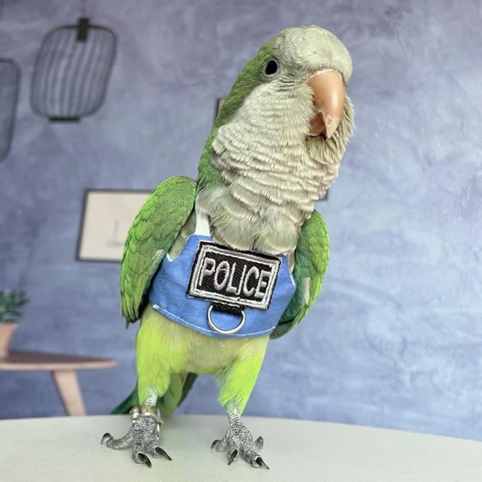 Bird Flight Harness Vest, Parrot Flight Suit with Leash, Bird Flying Clothes with Rope and Handle for Outdoor Activities (Without Leash,Necked Parakeet)