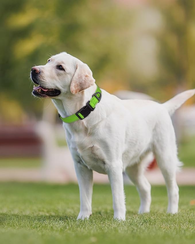 Joytale Reflective Dog Collar, Adjustable Nylon Pet Collar with Quick-Release Buckle for Medium Dogs, Green, M