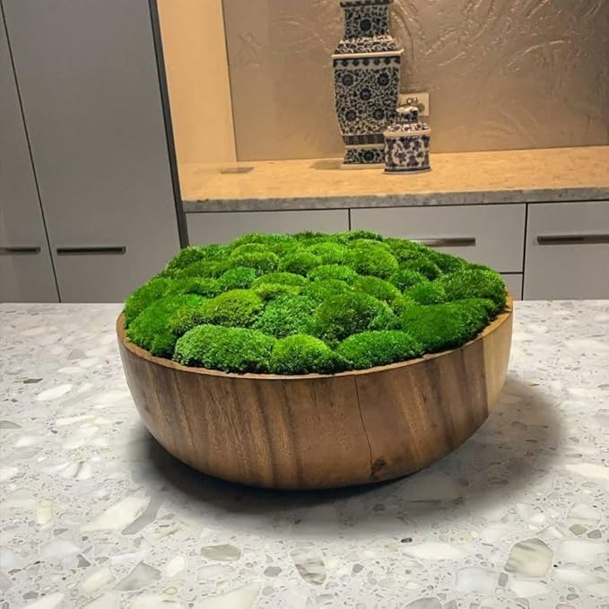 Preserved Pole Moss Pillow Bun Cushion Natural Green Decorative Real Natural Green DIY Kit Terrariums Gardenning Art Wall Decor Florist Decor Easter Table Decor Wedding(9.0 sq.ft., Green-B)