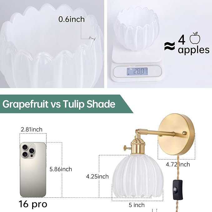 Shenmoyl Plug in Wall Sconce