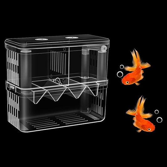 Double Room Breeding Box for Fish Tank, Fish Tank Aquarium Betta Guppy, PC Transparent Large Aquarium Kit More Convenient for You to Watch Ornamental Fish and Shrimps(Large)