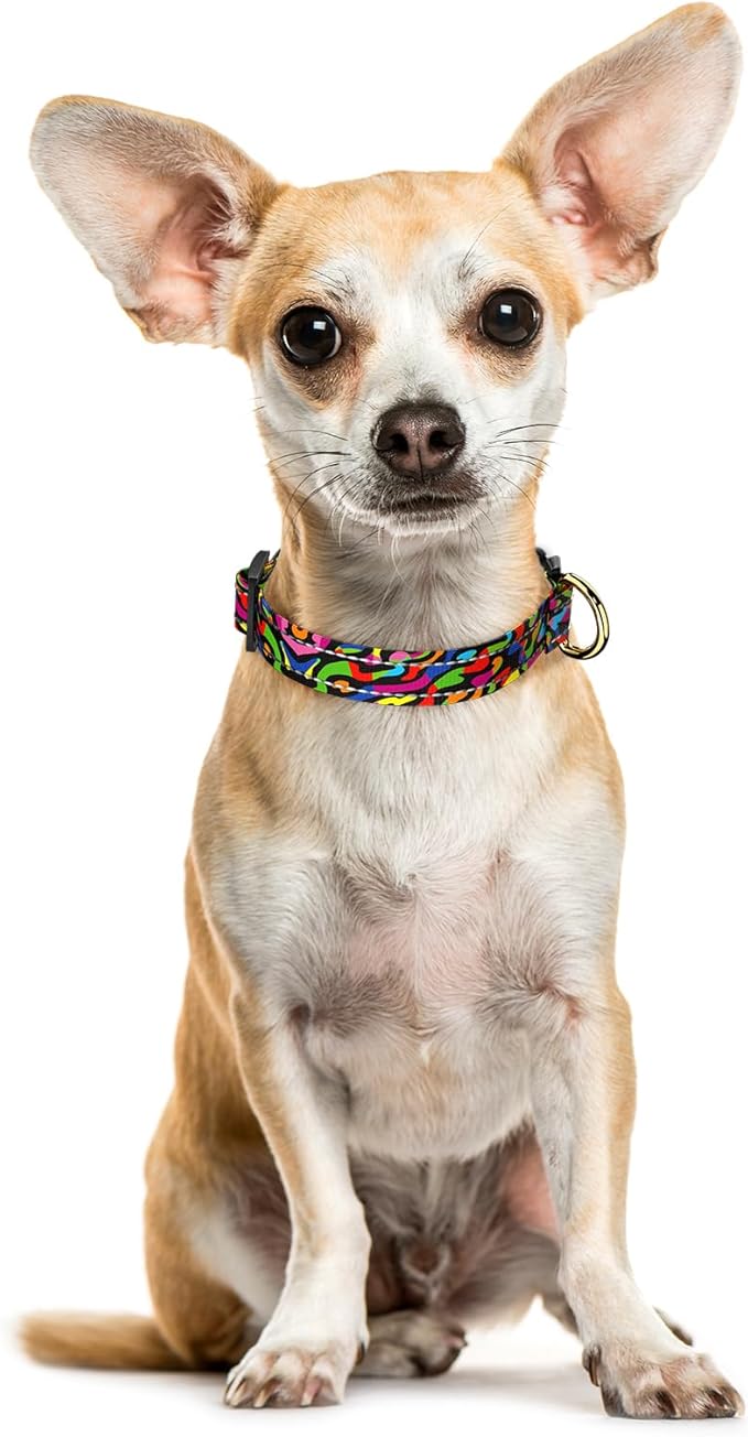 Reflective Dog Collar for Extra Small Dogs, Cute Boho Adjustable Heavy-Duty Nylon Puppy Collar for Boy and Girl Female, Soft Pet Accessories with Quick Release Buckle, Abstract Rainbow Art