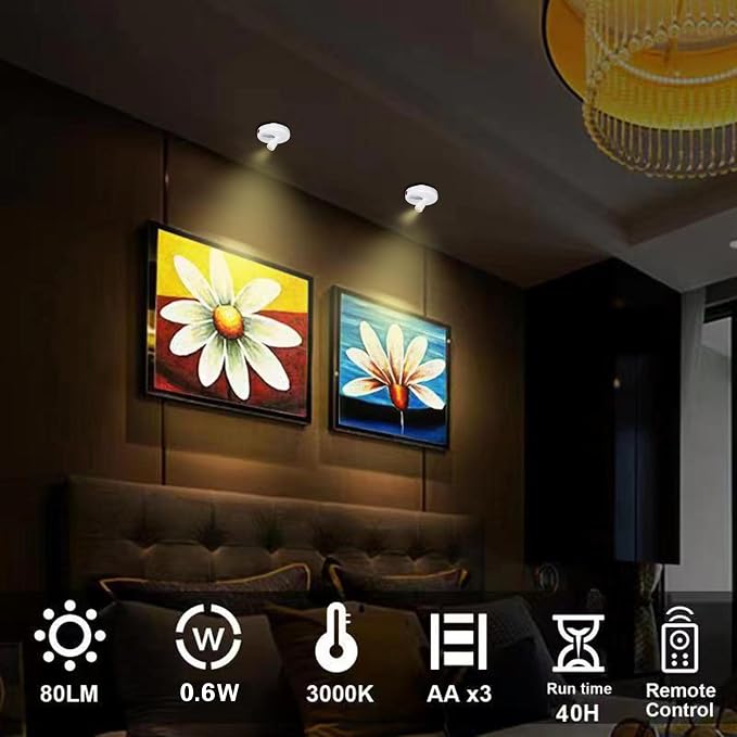 HAMVIDNE LED Spotlight, Battery Operated Picture Lights, Indoor Uplight