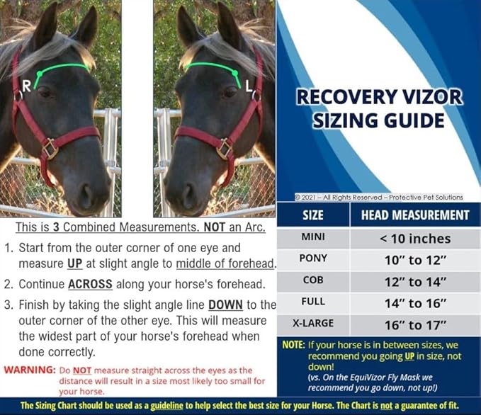 Recovery Vizor, (Size Pony - Dark UV Tint) Medical and Preventative Horse Eye (Goggle) Protection Mask for Uveitis, Injury, Scratch or Corneal Infection, Blindness.