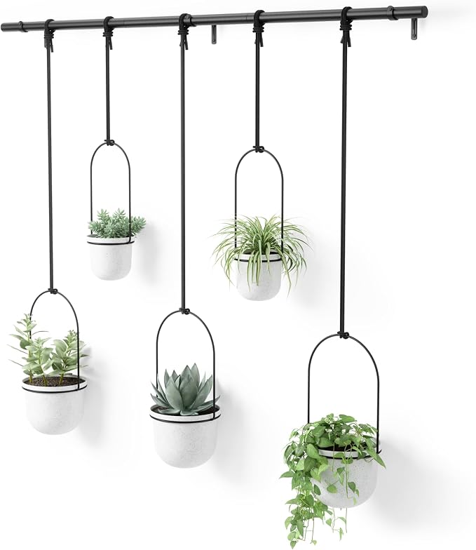 Umbra Triflora Hanging Planter for Window, Indoor Herb Garden