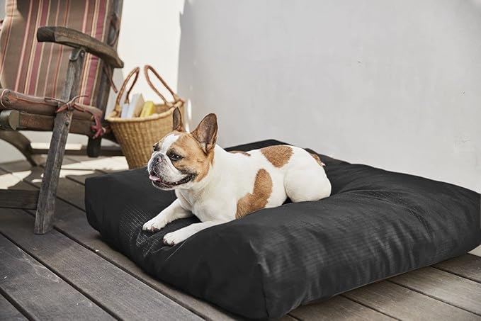 K9 Ballistics Tough Rectangle Pillow Medium Dog Bed - Removable Cover, Washable, Durable & Water Resistant Dog Bed Made for Medium Dogs 33" x 27", Sandstone