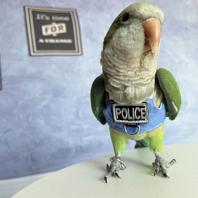 Bird Flight Harness Vest, Parrot Flight Suit with Leash, Bird Flying Clothes with Rope and Handle for Outdoor Activities (Without Leash,Green Quaker)