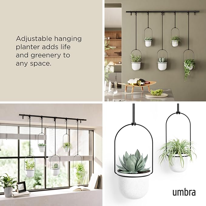 Umbra Triflora Hanging Planter for Window, Indoor Herb Garden