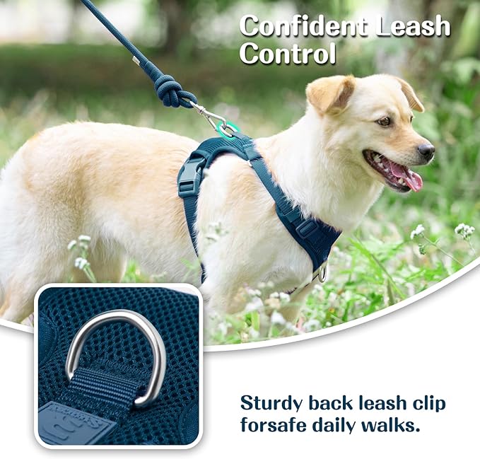 No Pull Dog Harness for Small Medium Large Dogs - Adjustable Two-Layer Mesh Dog Vest with Dual Clip, Escape Proof, Quick Release, Lightweight Breathable Mesh for Walking Hiking (Prussian Blue,S)