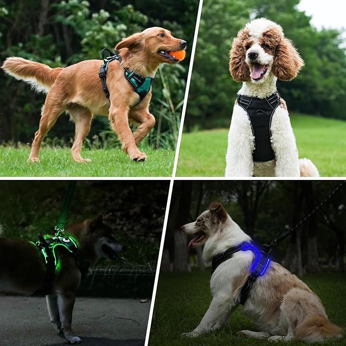 Taglory Light Up Dog Harness, Rechargeable No Pull Dog Vest with 3 Lightning Modes, Reflective Dog Harness with 2 Leash Clips & 4 Adjustable Slide Strips for Medium Dogs, Turquoise-Green, M