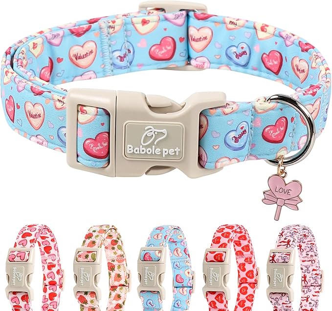 Valentines Dog Collar for Large Dogs - Valentine Candy Hearts Dog Collars, Love Boy Girl Dogs Collars, Lightweight Adjustable Cute Blue Puppy Collar with Quick-Release Buckle XL